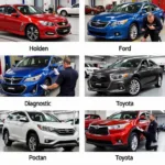 Various Australian Car Models Being Diagnosed