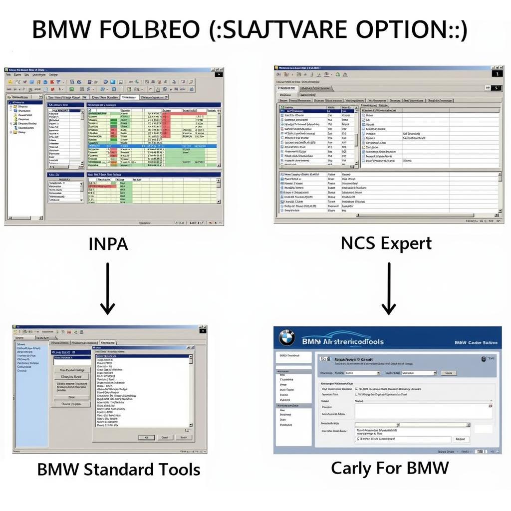 BMW Coding Software Interfaces