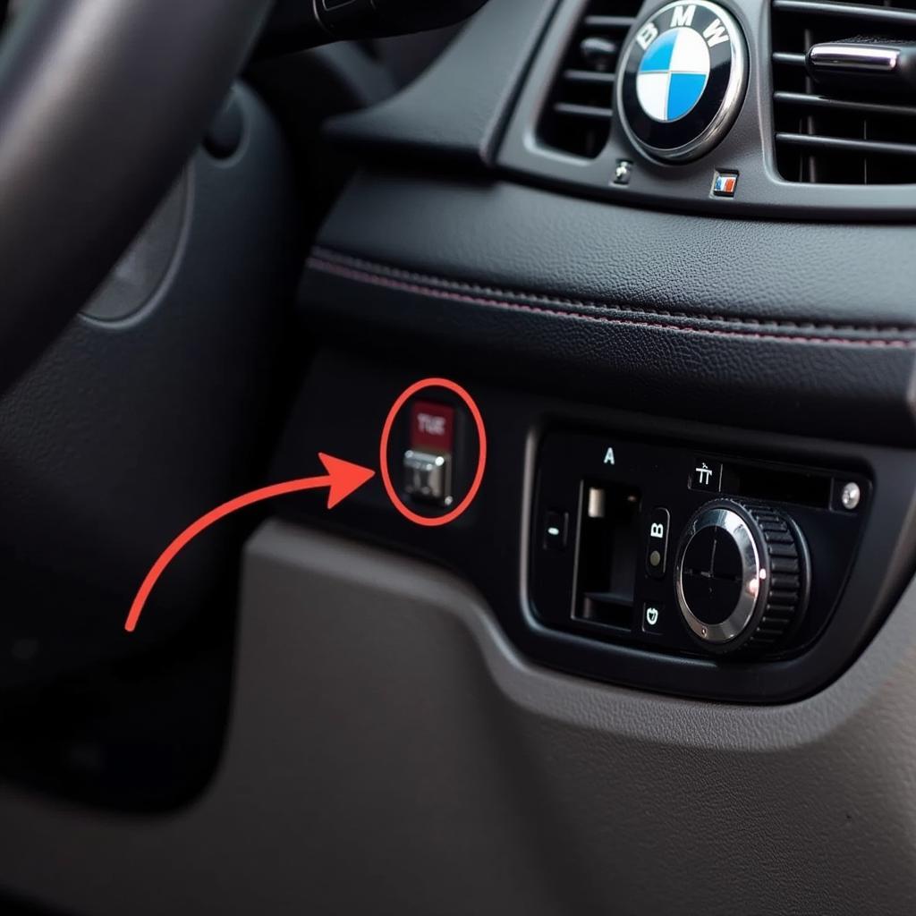 BMW Diagnostic Port Location