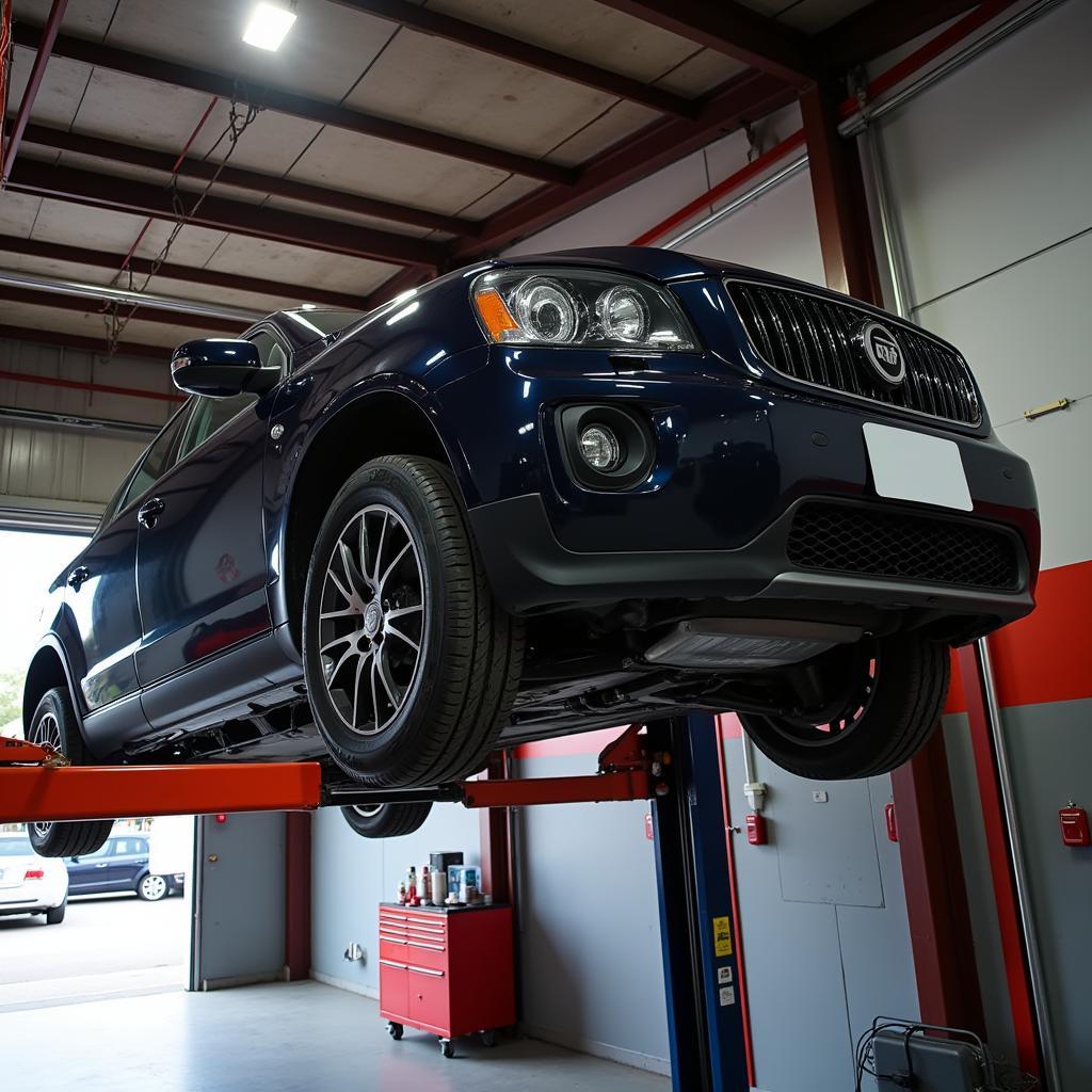 Car on Lift for Inspection