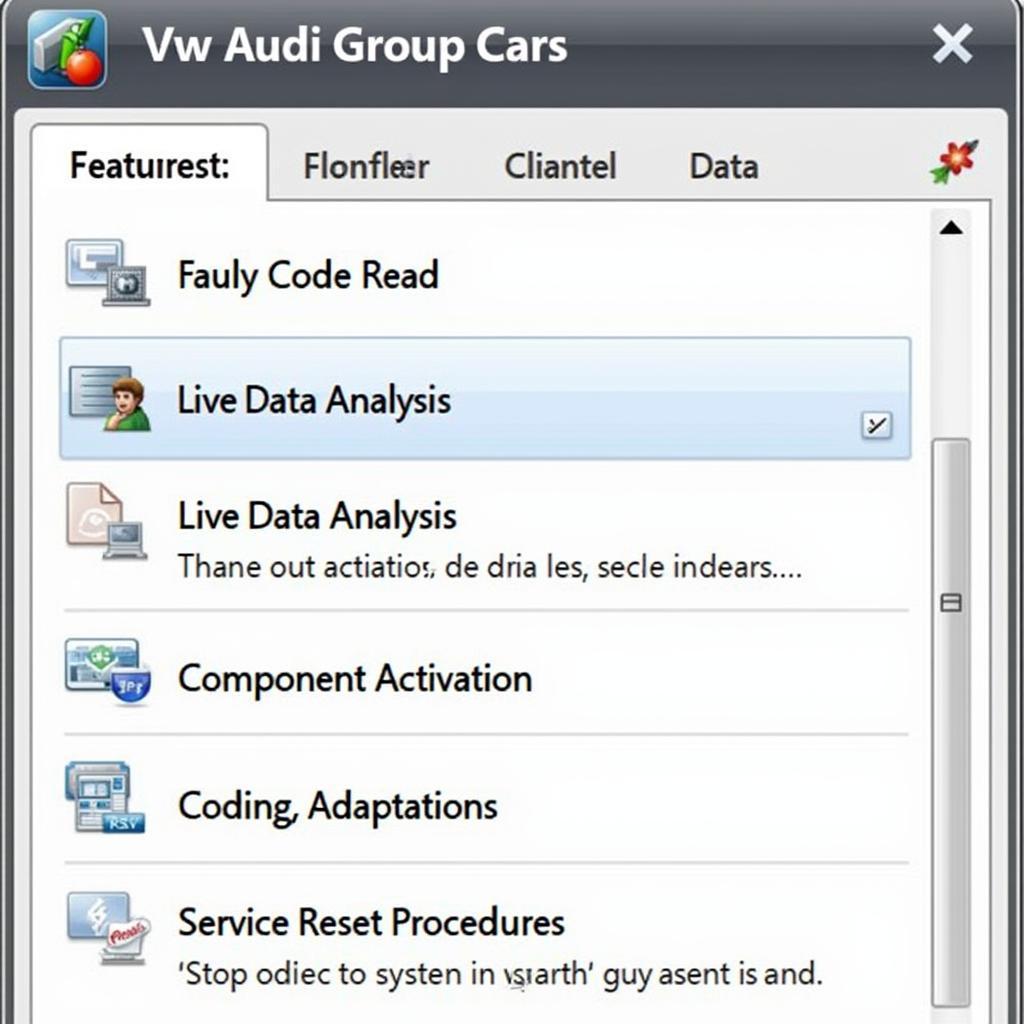 VW Audi Diagnostic Software Features Display