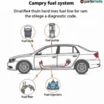 Fuel System Components in a Car