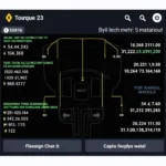 Renault Rapido Diesel Torque Diagnostic App