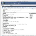 A sample car diagnostic report on a computer screen