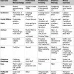 Different Car Diagnostic Tools