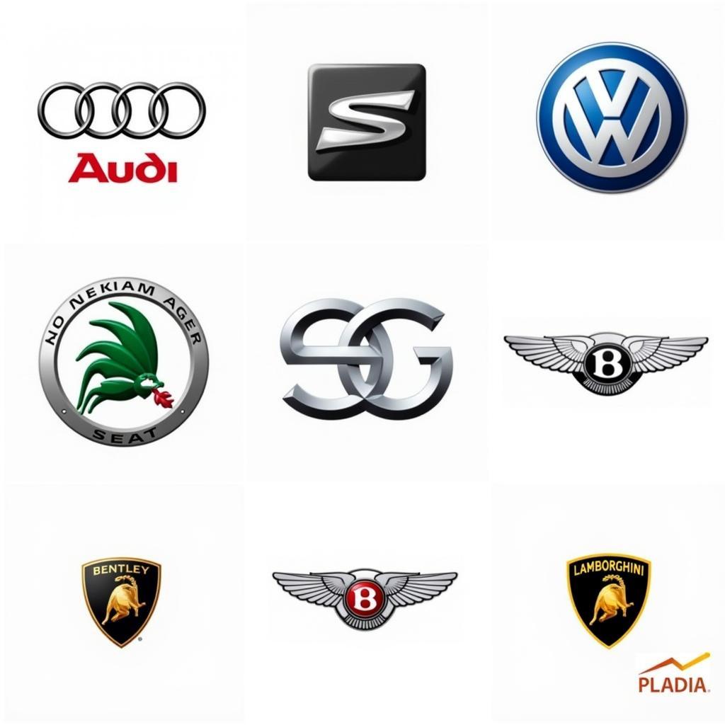 VCDS 17.1.3 Compatible Vehicle Brands