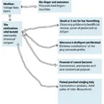 Example of Accurate Documentation for Clinical Review