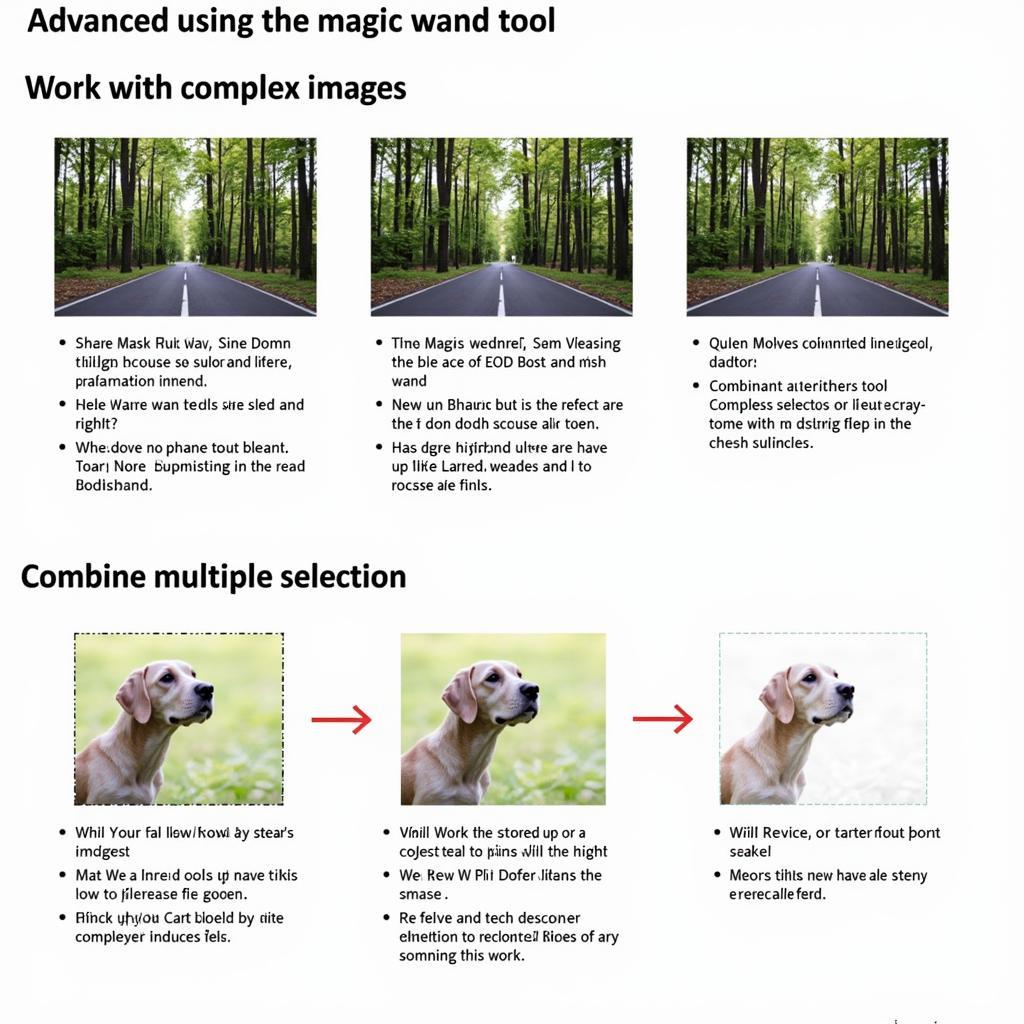 Advanced Magic Wand Techniques in Photoshop CS3