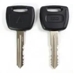 Aftermarket Sony Stereo Removal Keys