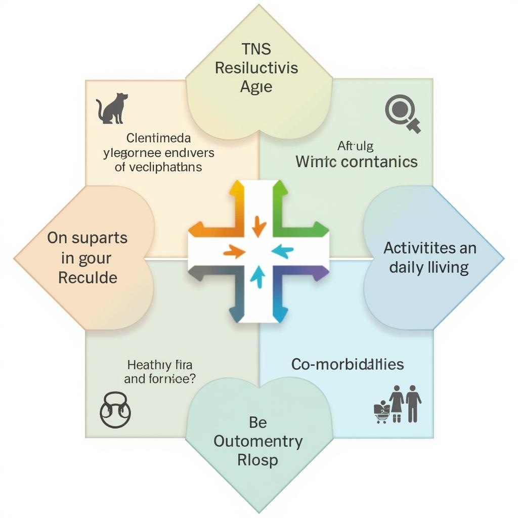 Components of the AGRACE Palliative Care Screening Tool