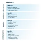 ASAM Levels of Care Diagram