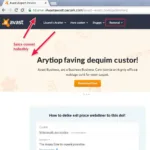 Downloading the Avast Business Care Removal Tool