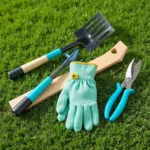 Essential Hand Tools for Lawn Care