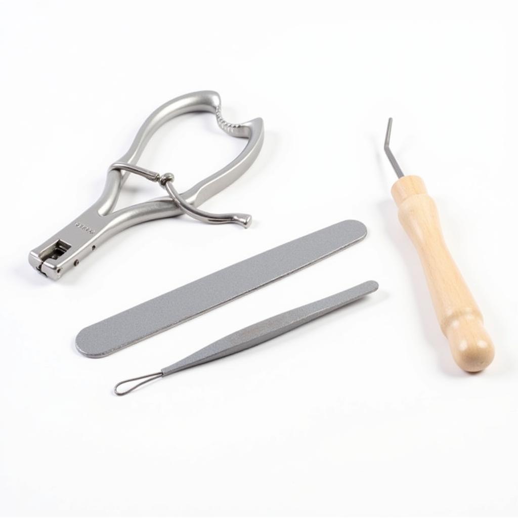 Basic Nail Care Kit with Essential Tools