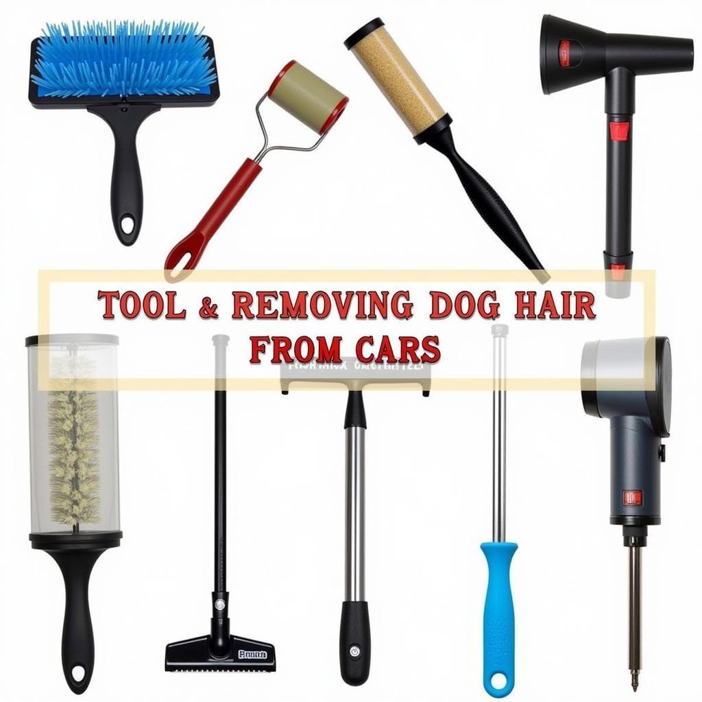 Best Dog Hair Remover Tools for Car