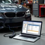 BMW connected to a laptop for a diagnostic session