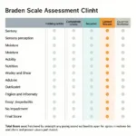 Braden Scale Assessment Chart