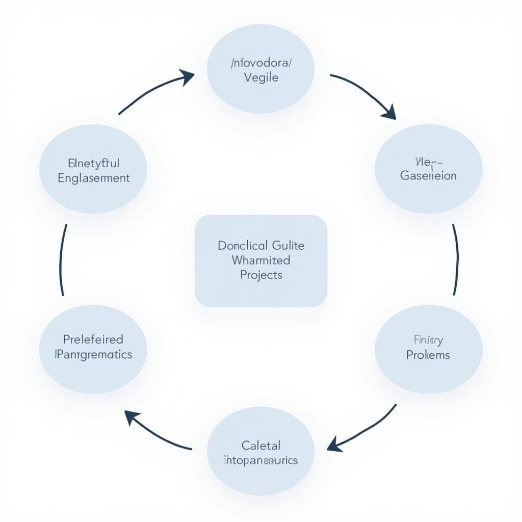 Healthcare Capital Budgeting Process