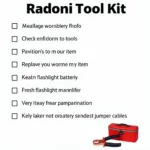 Car Mini Tool Kit Maintenance Checklist