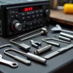 Car Stereo Removal Tool Kit