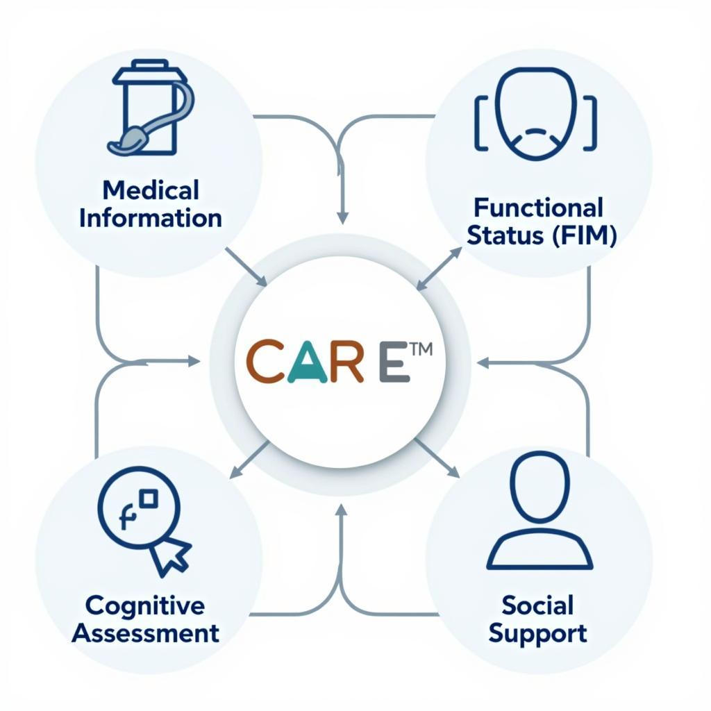 CARE Tool FIM Key Components