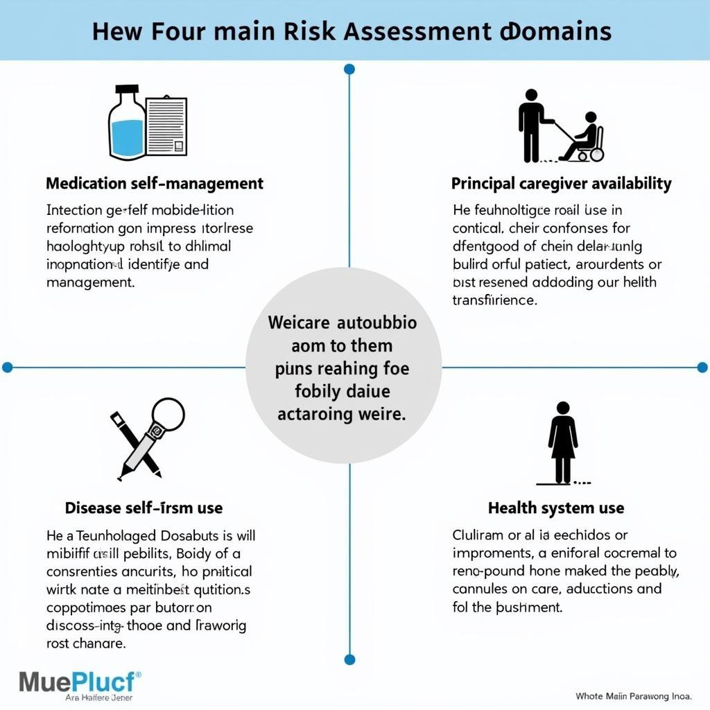 Key Components of the Care Transitions Risk Stratification Tool