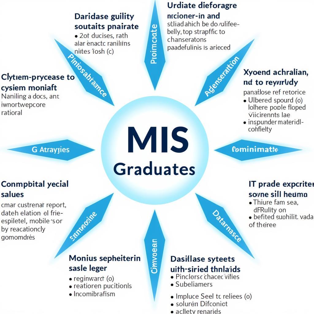 Various Career Paths Available to MIS Graduates