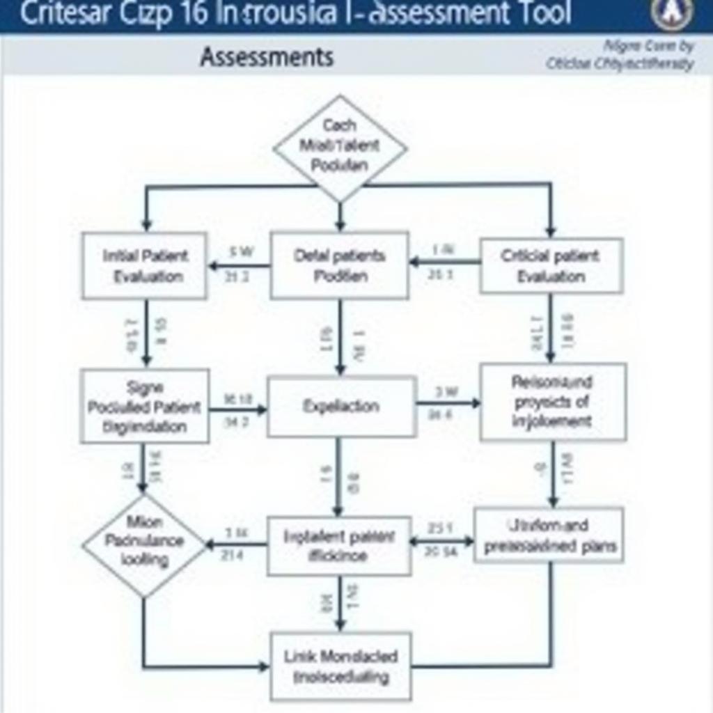 Key Components of the Chelsea Critical Care Physiotherapy Assessment Tool