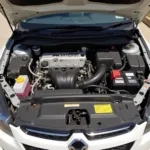 A sparkling clean car engine after a thorough cleaning.