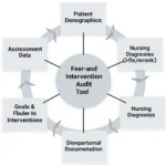 Key Components of a Nursing Care Plan Audit Tool