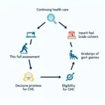 Continuing Health Care Decision Support Tool Wales Assessment Process