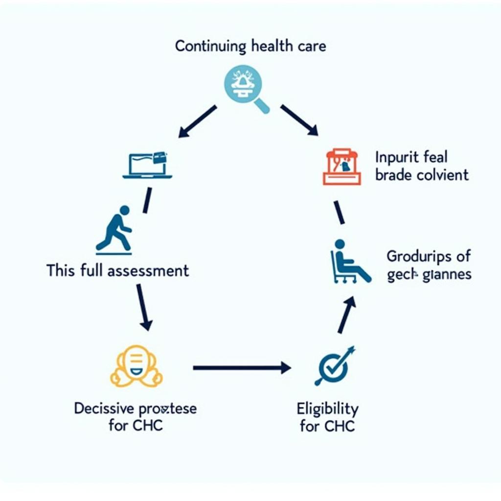 Continuing Health Care Decision Support Tool Wales Assessment Process