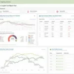 Couplet Care Report Tool Dashboard