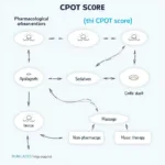 CPOT Pain Management Strategies