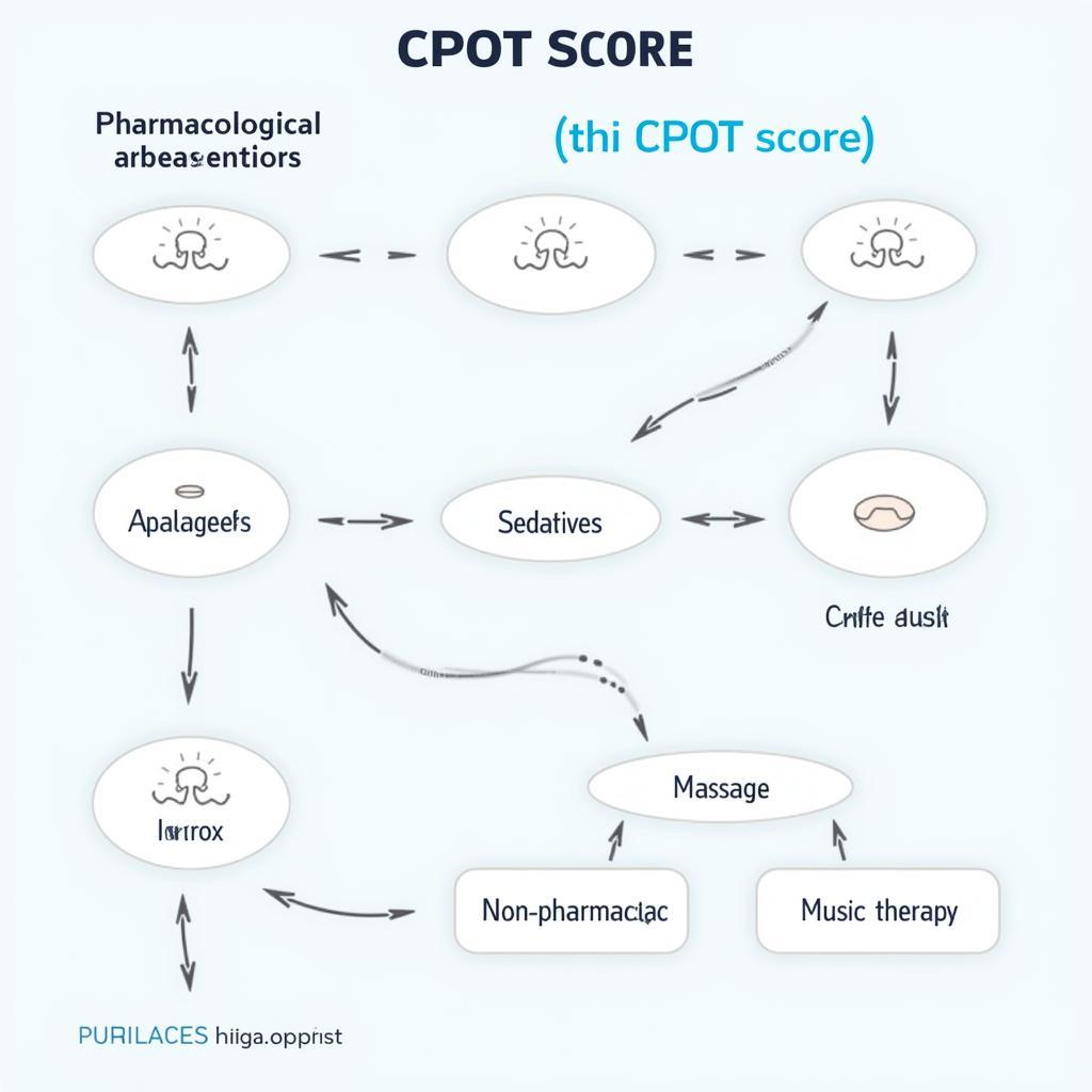 CPOT Pain Management Strategies