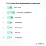 CPOT Score Interpretation Chart