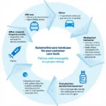 Customer Journey Mapping for Automotive Consumer Care