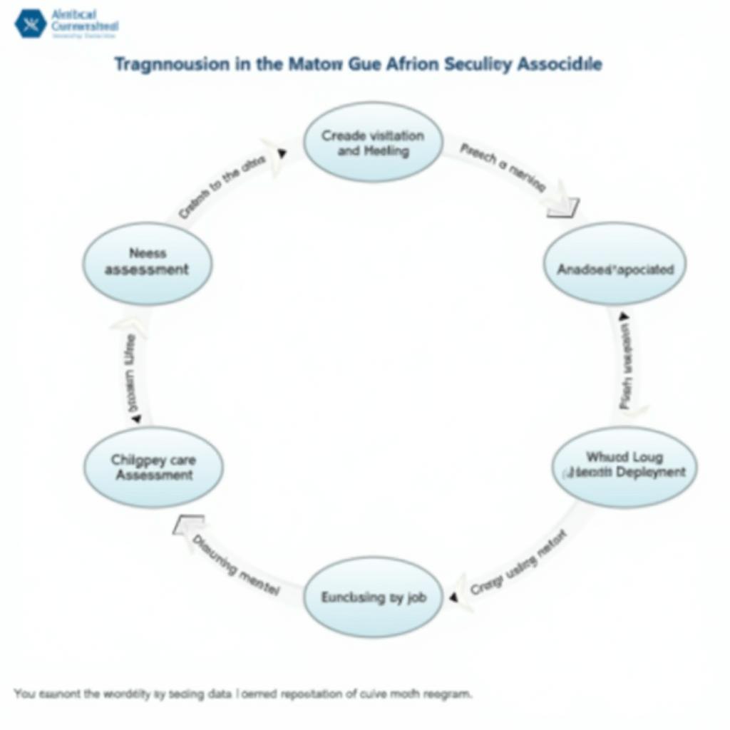 Data to Care Assessment Tool Implementation Process