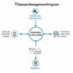 Flowchart illustrating the process of a disease management program