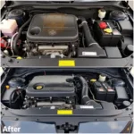 Engine Bay Before and After Detailing: Transformation with Professional Car Engine Detailing Tools