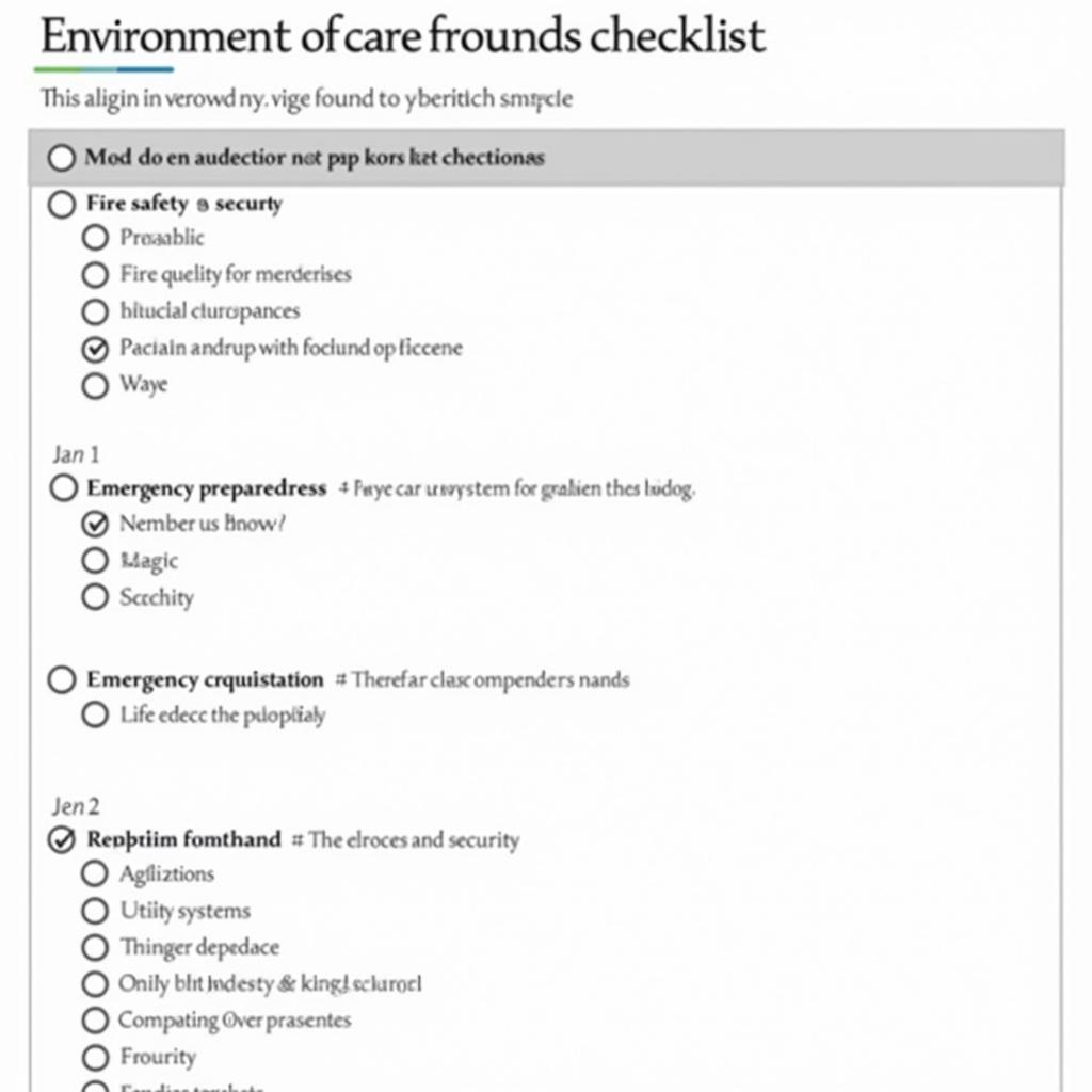 Environment of Care Rounds Checklist Example