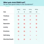 Visual representation of the ESAS tool with its nine symptom categories