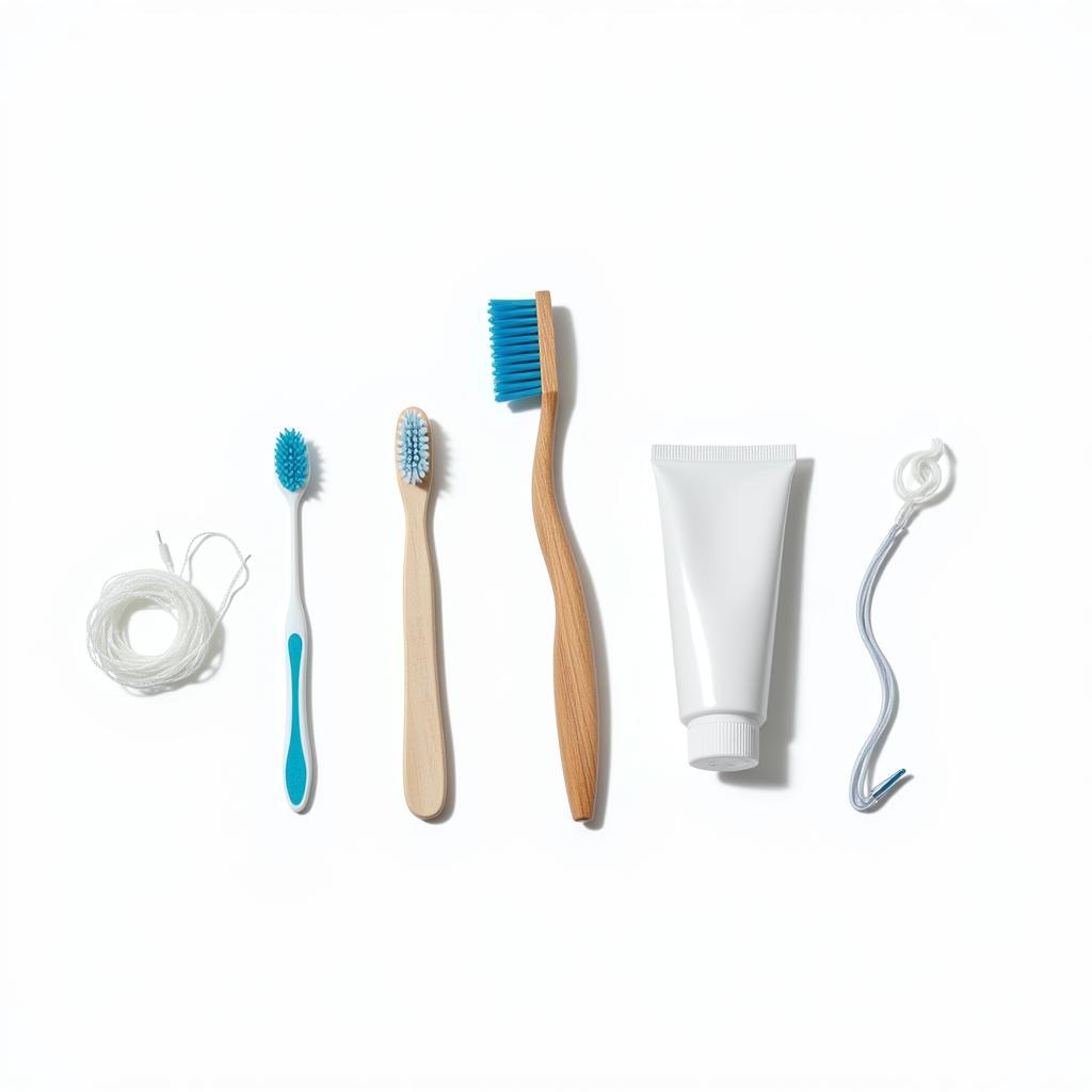 Essential Dental Care Tools for Daily Oral Hygiene