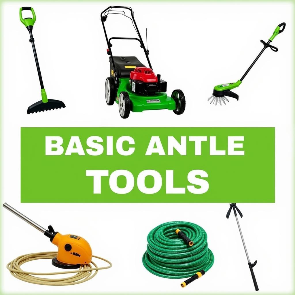 Essential Lawn Care Tools for Beginners