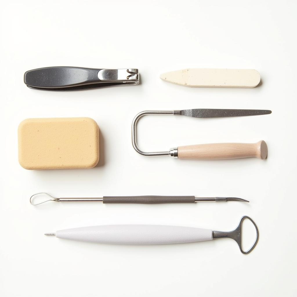 Essential Foot Care Tools Kit