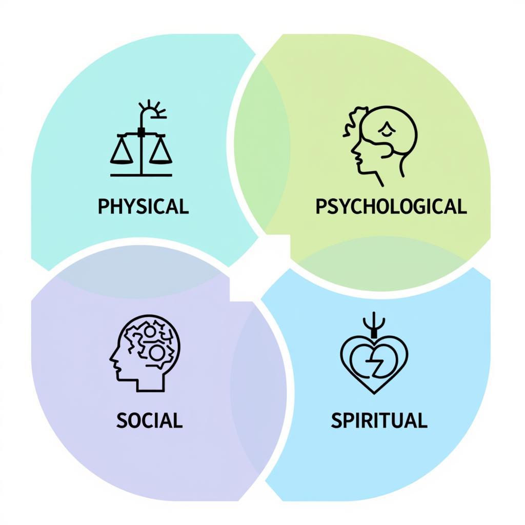 Four Domains of Holistic Assessment