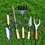 Essential Hand Tools for Lawn Care Displayed