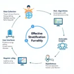 Key Components of a Health Care Homes Risk Stratification Tool