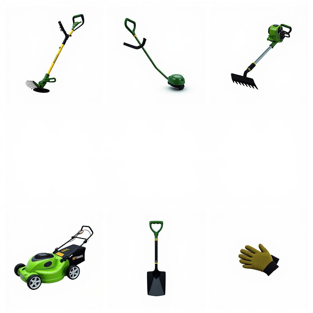 Overview of essential lawn care tools