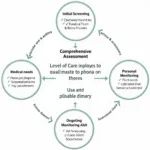 Level of Care Assessment Process